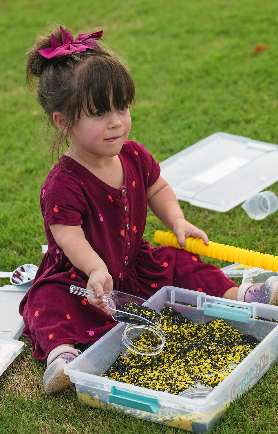 Sensory Play Kit: School