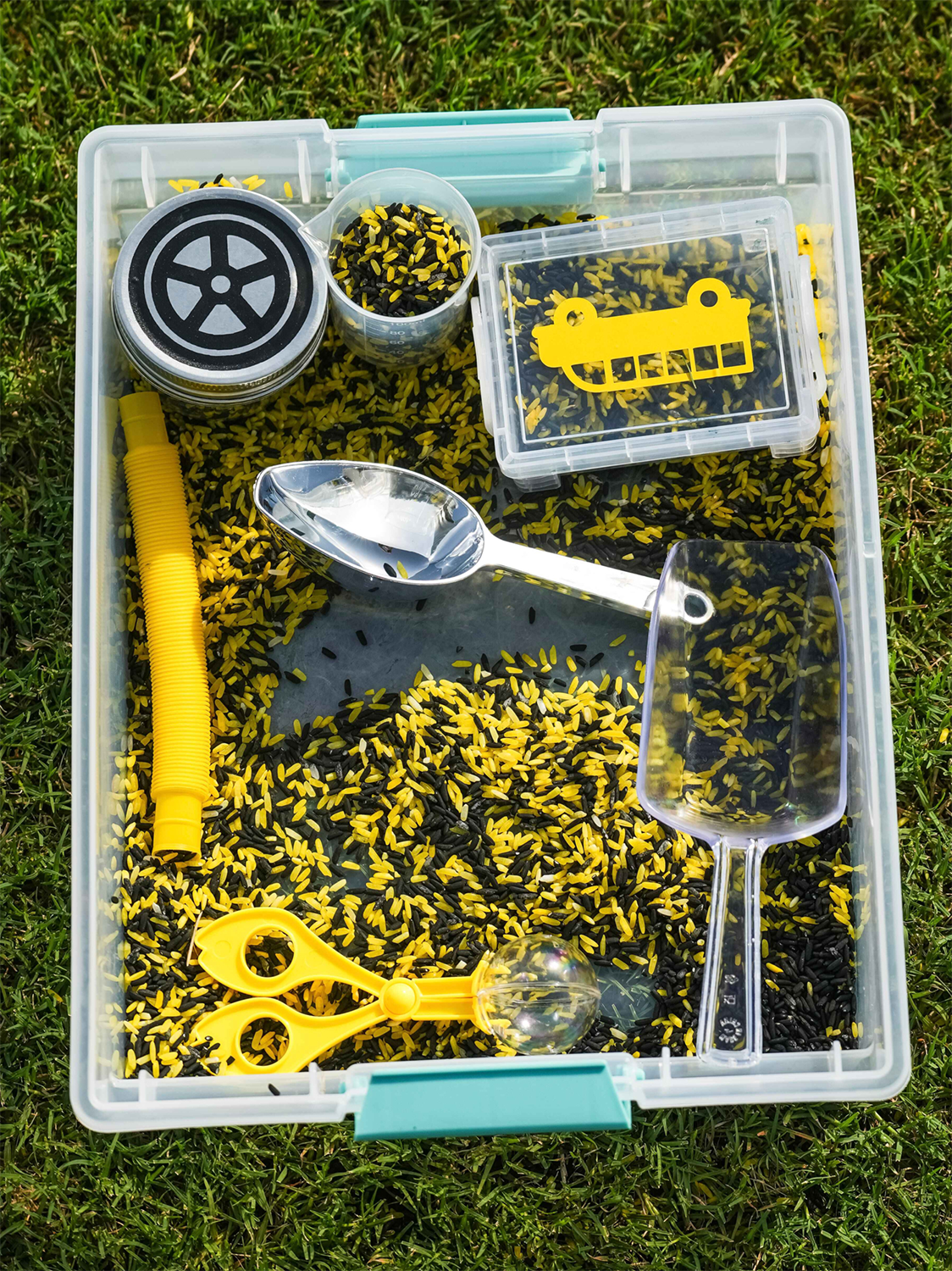 Sensory Play Kit: School